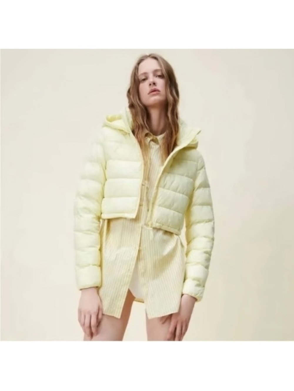 Zara Light Yellow Cropped Puffer Jacket - Women's